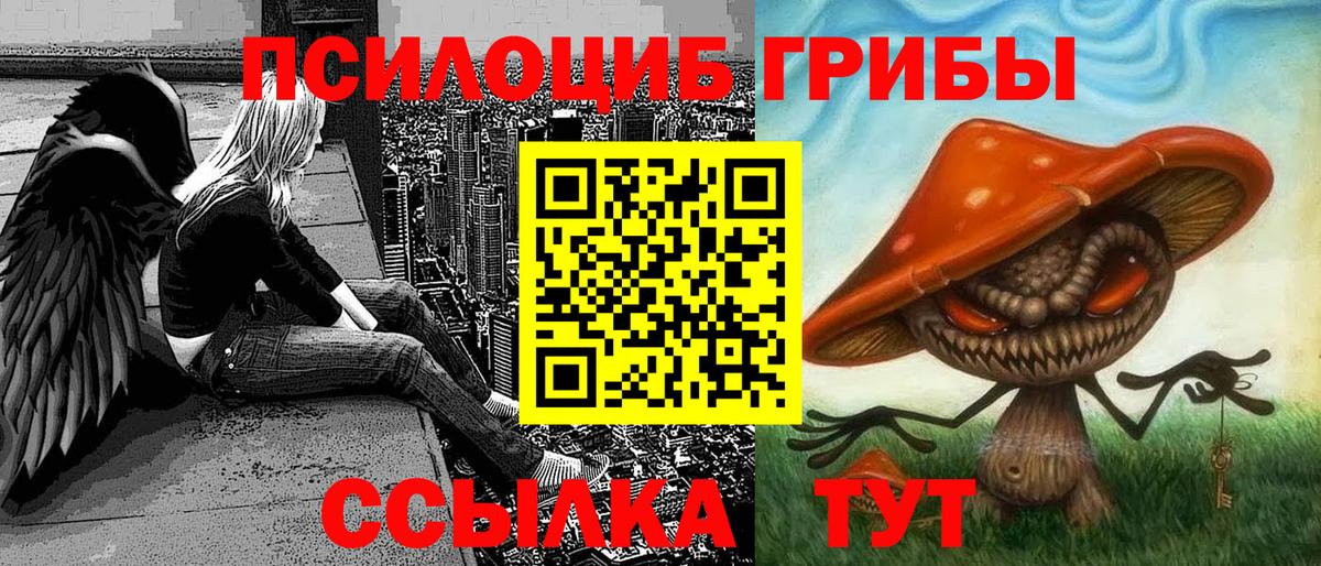 Галлюциногенные грибы Psilocybine cubensis  Вход с VPN  Псилоцибиновые грибы мицелий  Лабытнанги 