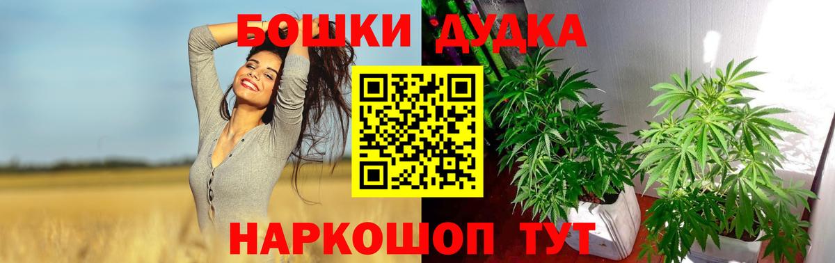 Марихуана сатива Лабытнанги